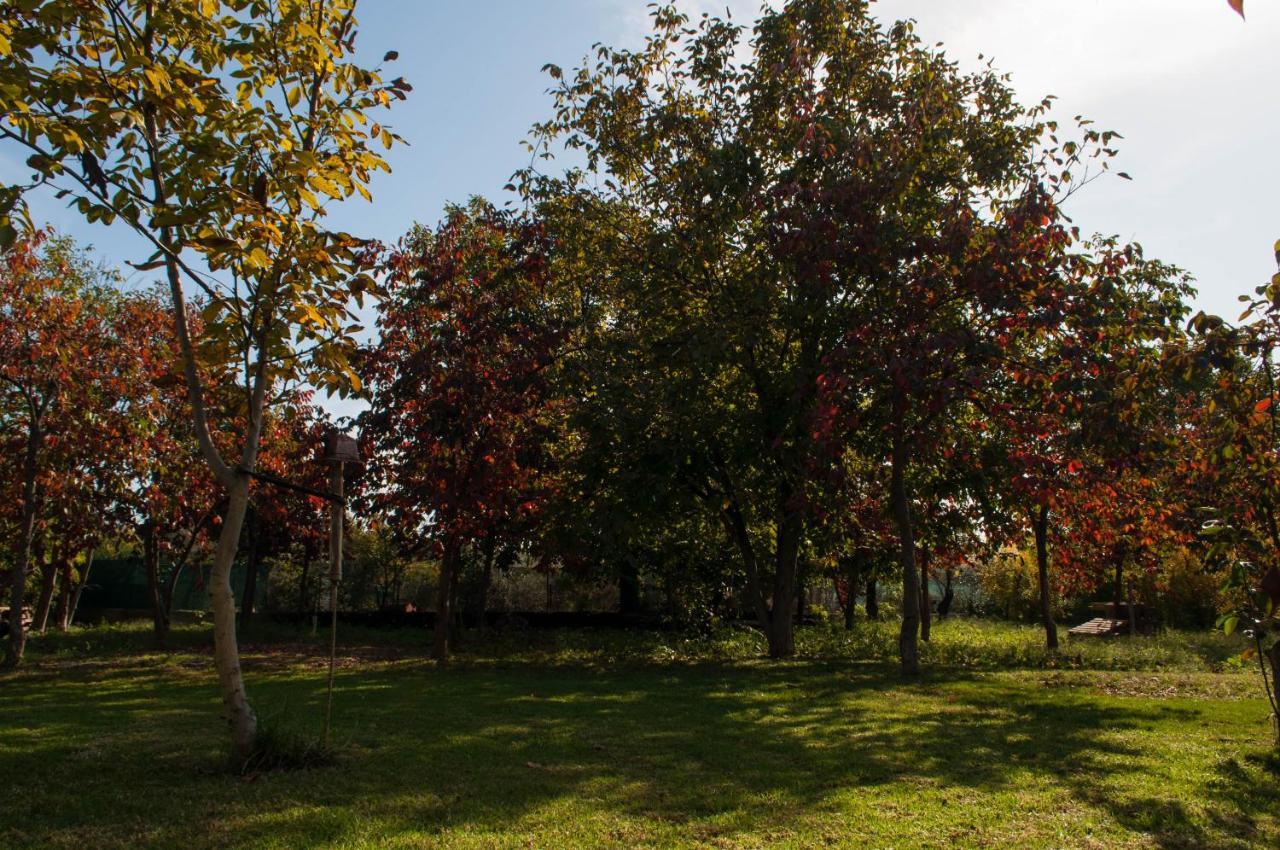 Apartament Sinanis Garden House Wolos Zewnętrze zdjęcie